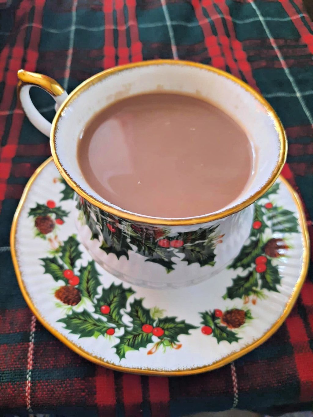 Chocolat chaud végétal aux épices, cannelle et cardamome